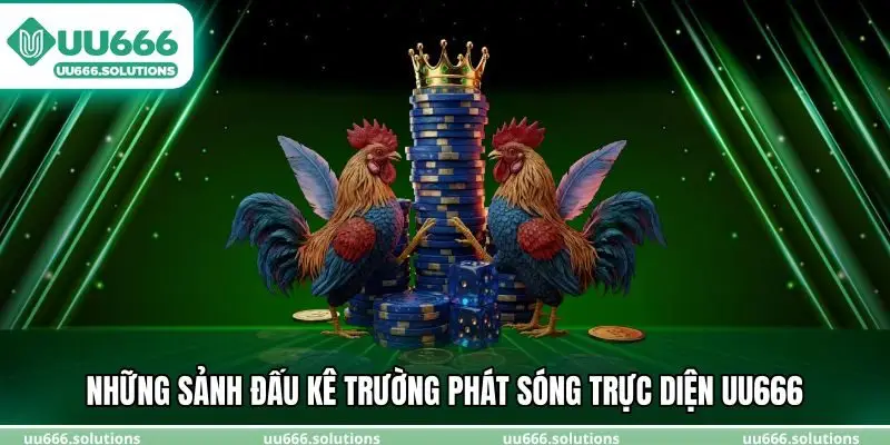 Những sảnh đấu kê trường phát sóng trực diện UU666