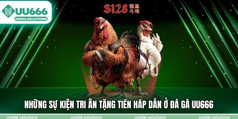 Những sự kiện tri ân tặng tiền hấp dẫn ở đá gà UU666