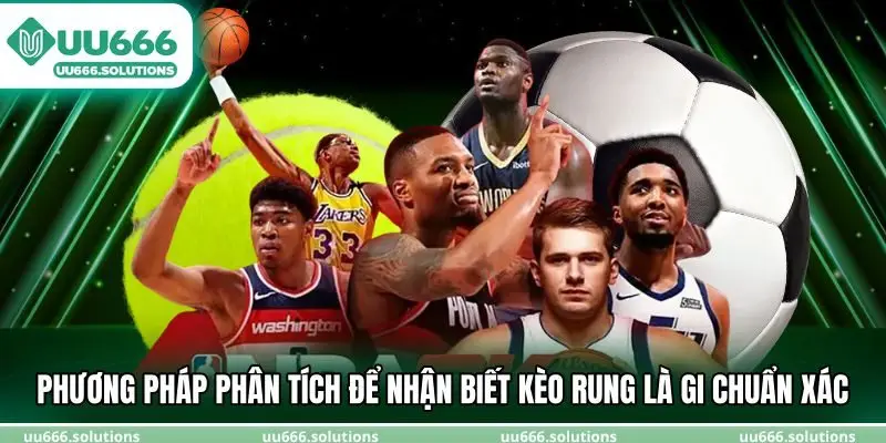 Phương pháp phân tích để nhận biết kèo rung là gi chuẩn xác