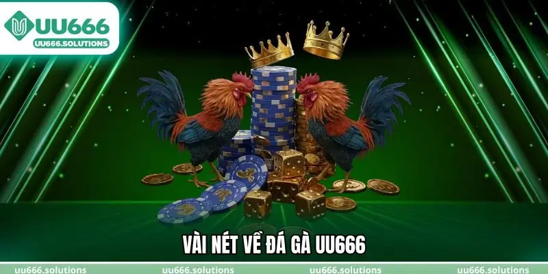 Vài nét về đá gà UU666